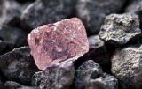 ĵVVenture Minerals(dng)RileyFV(xing)Ŀ