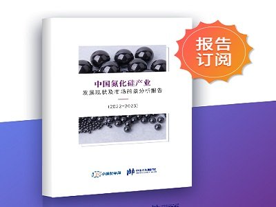 ȫ˽CõմЇa(chn)I(y)l(f)չF(xin)Јǰ(bo)棨2022~2023rt