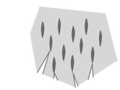Ї(gu)һo(w)ѼyVsO
