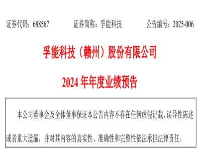ܿƼ¹棺̑B(ti)늳2025a(chn)