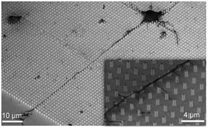 Nano Letterl(f)ооƬϘX񽛾Wj