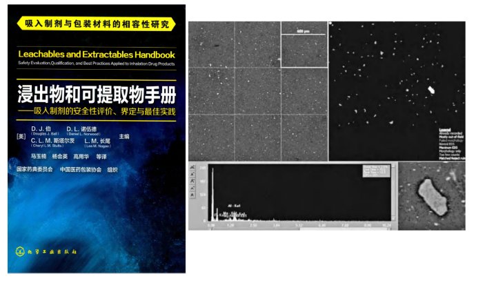 全自動顆粒檢測系統(tǒng)進行 全自動顆粒識別、粒徑測量和元素分析